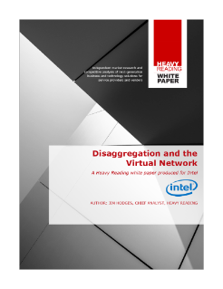 Disaggregation and the Virtual Network
